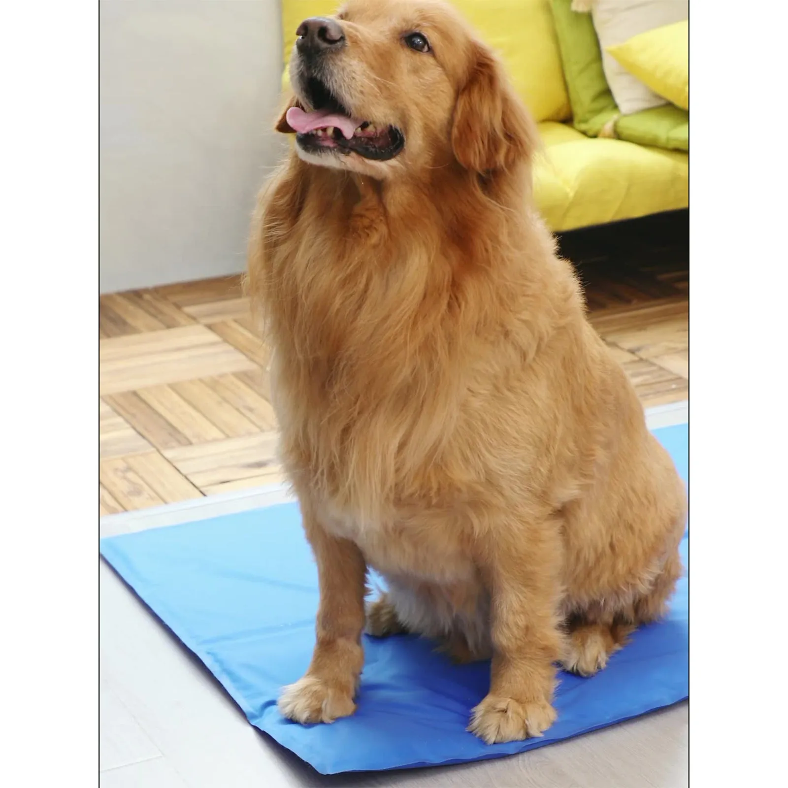 Large Blue Pet Cooling Pad, Waterproof & Comfortable Cushion